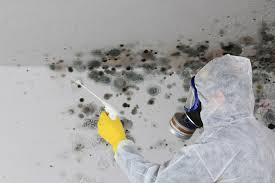 Best Comprehensive Air Testing for Mold Contaminants  in Village Of The Branch, NY